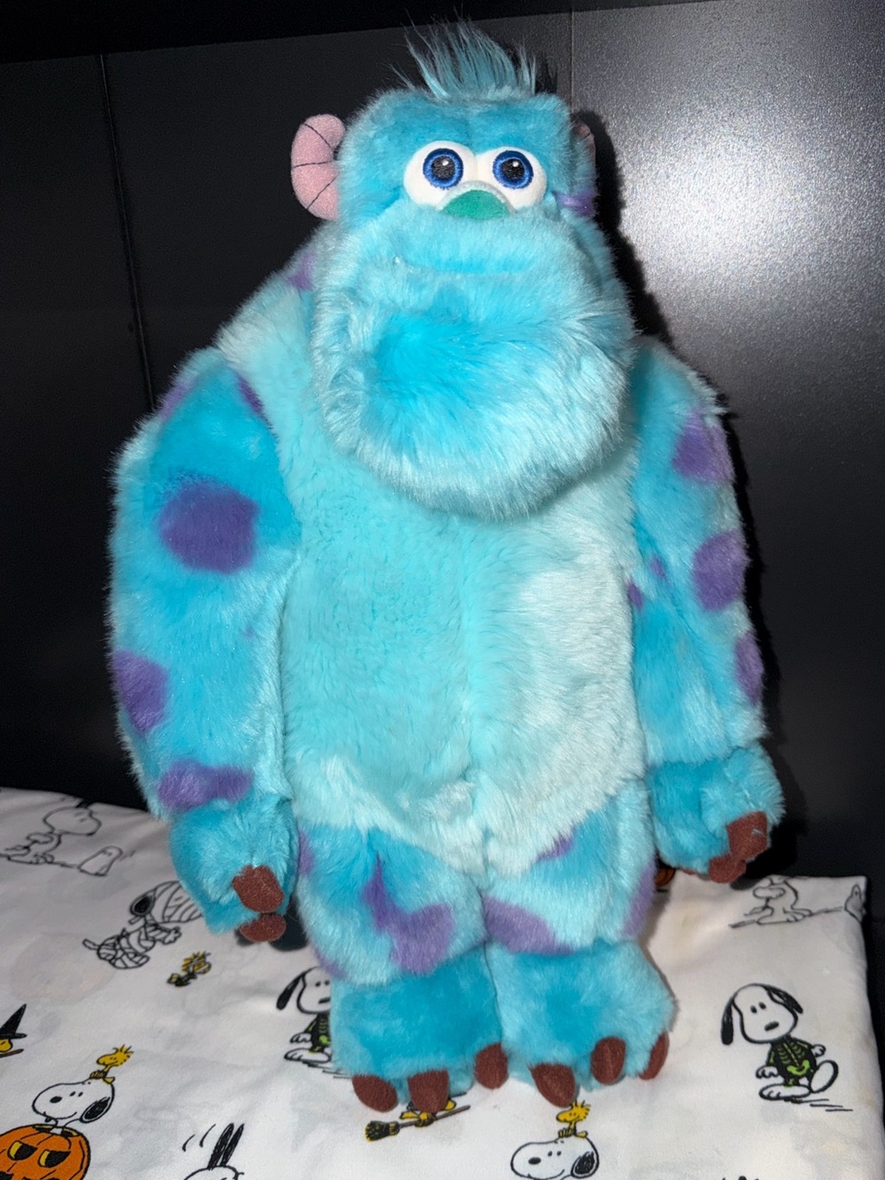 Sully Monster inc.